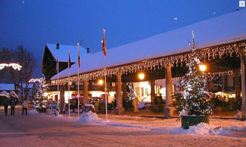 Hotel Les Glaciers Самоен Экстерьер фото